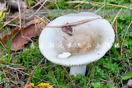 有逾期记录怎么办理银行贷款 有逾期记录怎么办理银行贷款