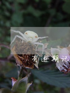 有逾期记录怎么开通花呗 有逾期记录怎么开通花呗