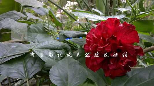 有逾期记录怎么改良征信 有逾期记录怎么改良征信