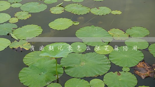 有逾期记录怎么涨芝麻信用 有逾期记录怎么涨芝麻信用
