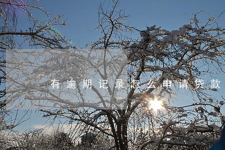 有逾期记录怎么申请贷款 有逾期记录怎么申请贷款