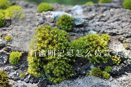 有逾期记录怎么贷款买车吗 有逾期记录怎么贷款买车吗