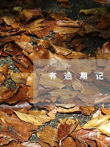 有逾期记录想贷款买车 有逾期记录想贷款买车