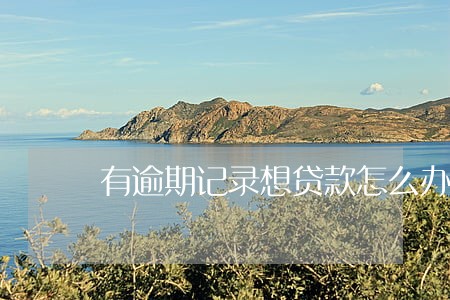 有逾期记录想贷款怎么办 有逾期记录想贷款怎么办