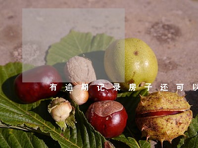 有逾期记录房子还可以二次抵押吗