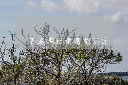 有逾期记录房贷不过