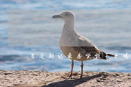 有逾期记录房贷能下来吗 有逾期记录房贷能下来吗