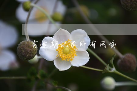 有逾期记录所有网贷 有逾期记录所有网贷