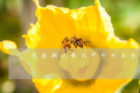 有逾期记录找中介代办房贷 有逾期记录找中介代办房贷