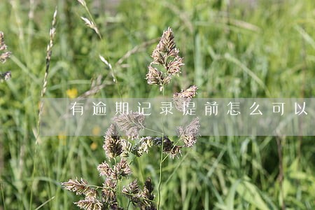 有逾期记录提前怎么可以消除 有逾期记录提前怎么可以消除
