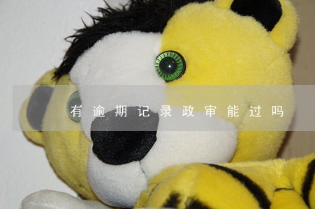 有逾期记录政审能过吗 有逾期记录政审能过吗