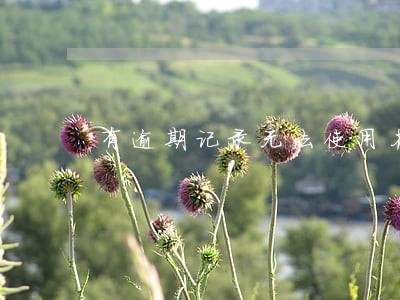 有逾期记录无法使用花呗