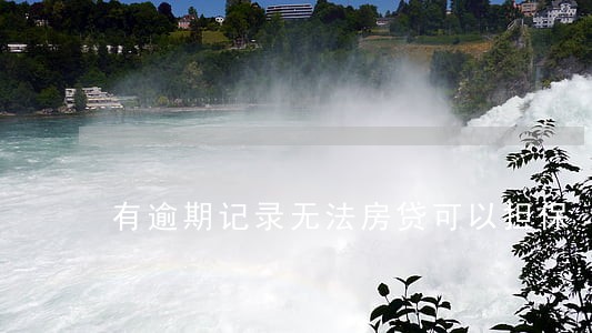 有逾期记录无法房贷可以担保 有逾期记录无法房贷可以担保