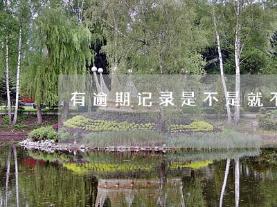 有逾期记录是不是就不能贷款 有逾期记录是不是就不能贷款