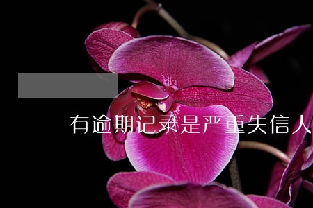 有逾期记录是严重失信人员吗 有逾期记录是严重失信人员吗