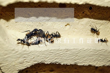 有逾期记录有工作证明 有逾期记录有工作证明