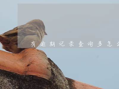 有逾期记录查询多怎么贷款 有逾期记录查询多怎么贷款