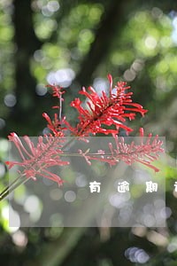 有逾期记录欠款已还清还能入深户 有逾期记录欠款已还清还能入深户