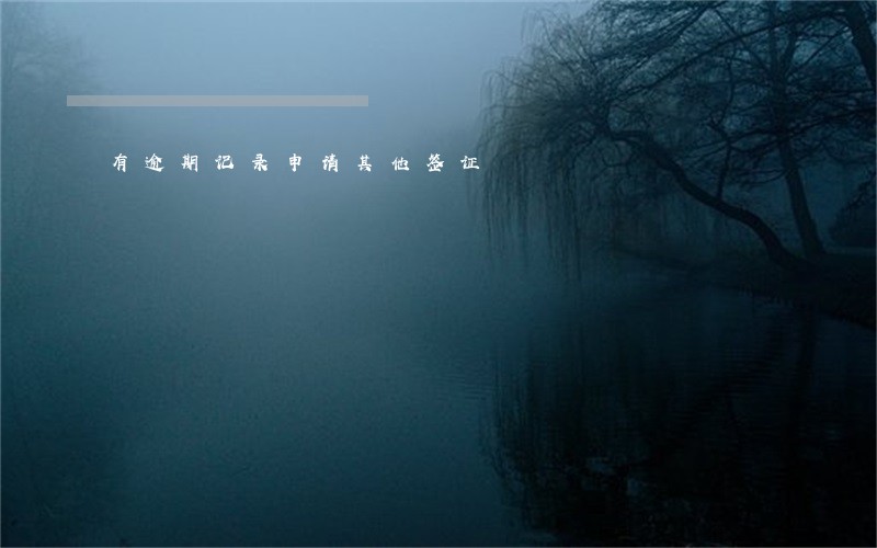 有逾期记录申请其他签证 有逾期记录申请其他签证