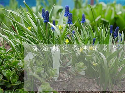 有逾期记录申请房贷