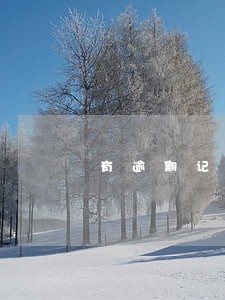 有逾期记录申请房贷吗 有逾期记录申请房贷吗