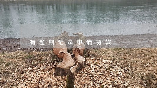 有逾期记录申请贷款 有逾期记录申请贷款