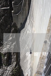 有逾期记录的人能担保吗 有逾期记录的人能担保吗