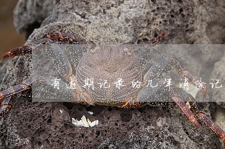 有逾期记录的几年消除记录 有逾期记录的几年消除记录