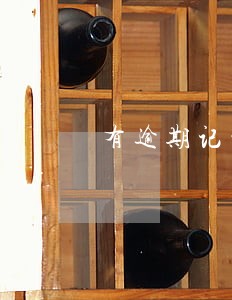 有逾期记录的可以做担保人吗