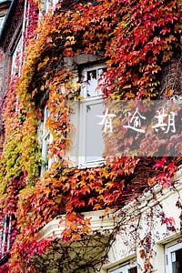 有逾期记录的可以出国吗 有逾期记录的可以出国吗