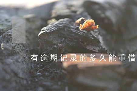有逾期记录的多久能重借