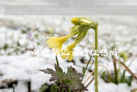 有逾期记录的征信吗 有逾期记录的征信吗