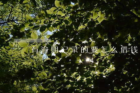 有逾期记录的要怎么借钱 有逾期记录的要怎么借钱