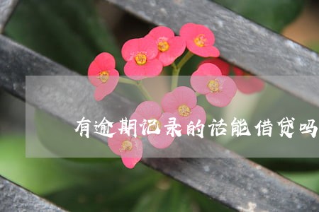 有逾期记录的话能借贷吗 有逾期记录的话能借贷吗