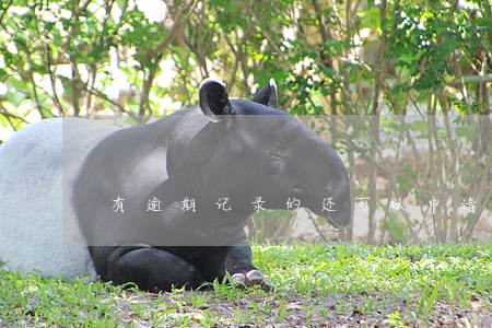 有逾期记录的还可以申请etc吗 有逾期记录的还可以申请etc吗