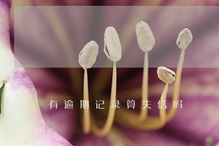 有逾期记录算失信吗 有逾期记录算失信吗