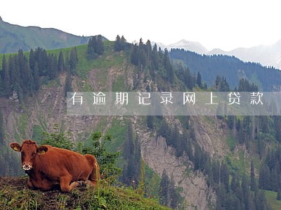 有逾期记录网上贷款 有逾期记录网上贷款