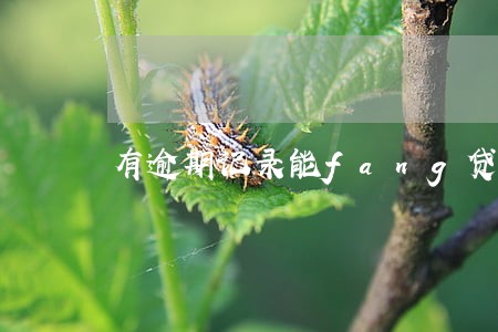 有逾期记录能fang贷 有逾期记录能fang贷