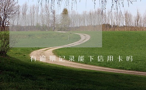 有逾期记录能下信用卡吗 有逾期记录能下信用卡吗