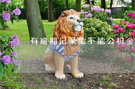 有逾期记录能不能公积金贷款 有逾期记录能不能公积金贷款