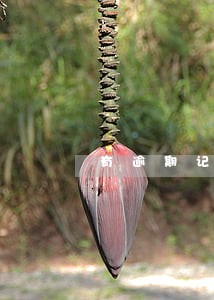有逾期记录能不能办卡 有逾期记录能不能办卡