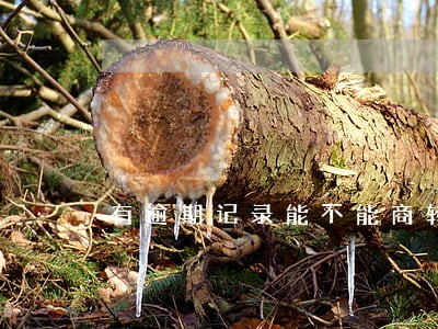 有逾期记录能不能商转公 有逾期记录能不能商转公