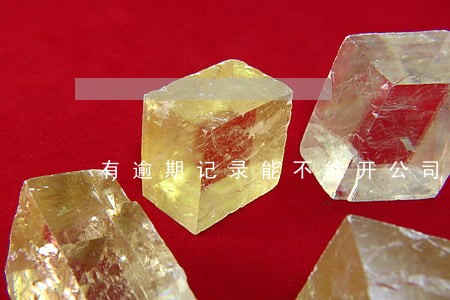 有逾期记录能不能开公司 有逾期记录能不能开公司