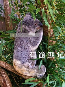有逾期记录能不能炒股 有逾期记录能不能炒股