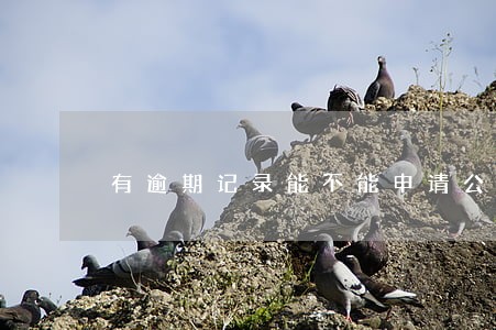 有逾期记录能不能申请公积金 有逾期记录能不能申请公积金