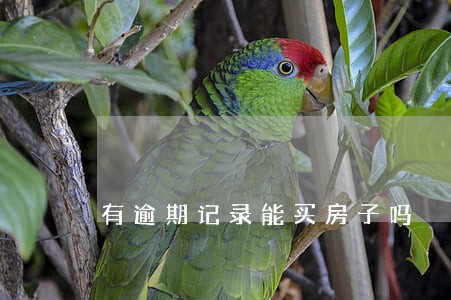 有逾期记录能买房子吗 有逾期记录能买房子吗