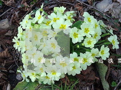 有逾期记录能买高铁票吗 有逾期记录能买高铁票吗