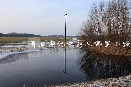 有逾期记录能从哪里小额贷款 有逾期记录能从哪里小额贷款
