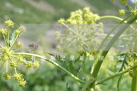 有逾期记录能做房贷吗 有逾期记录能做房贷吗