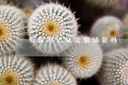 有逾期记录能做辅警吗 有逾期记录能做辅警吗